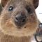 Kosmoo.es Animal Lovers