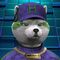 Cripto Hachiko