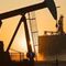 Acquirente - Venditore petrolio e gas